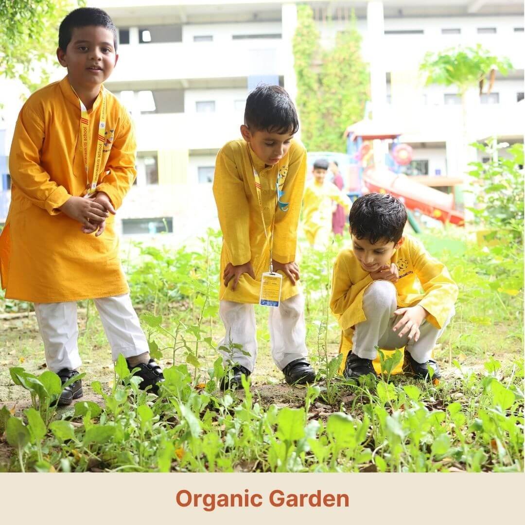 Organic Garden